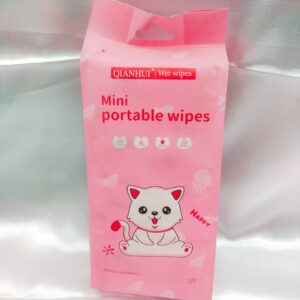 Mini Portable wipes