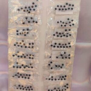 Craft Plastic eyes small