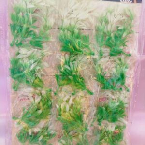 plastic craft grases