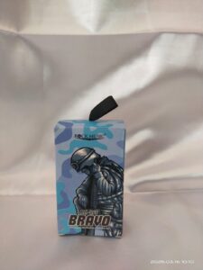 Bravo RM-066 Wired Earphone